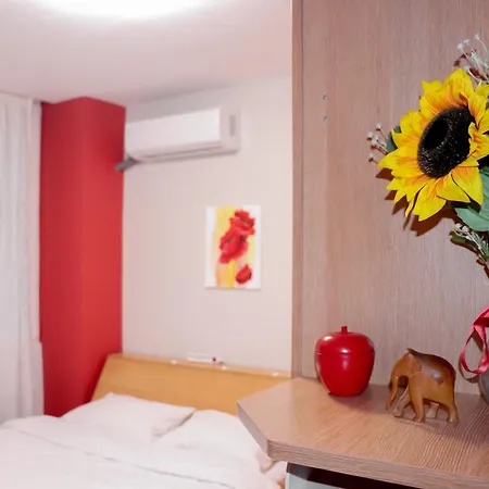 D-home Varna